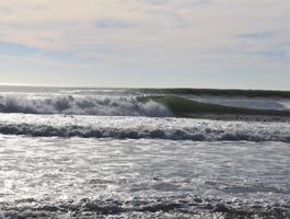 Elands bay