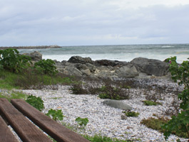 Yzerfontein